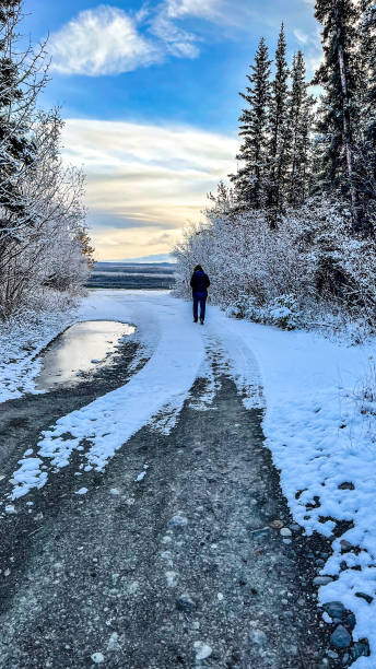 istock A woman walks down a snow covered road to view a valley 1351972230