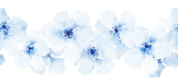 부드러움 플로럴 세트 원활한 테두리 - blue close up white background flower head stock illustrations