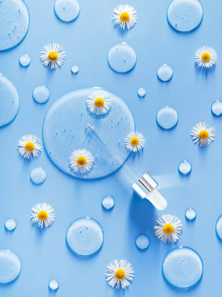 serum dropper on a blue background with chamomile flowers transparent gel - chamomile chamomile plant flower herb imagens e fotografias de stock