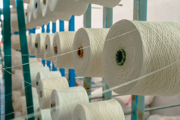 White yarn spools bobbin thread cones on industrial warping knitting beaming machine in textile factory