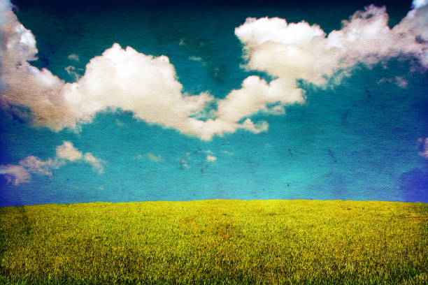 istock Old Photo with Summer Field 1351978020