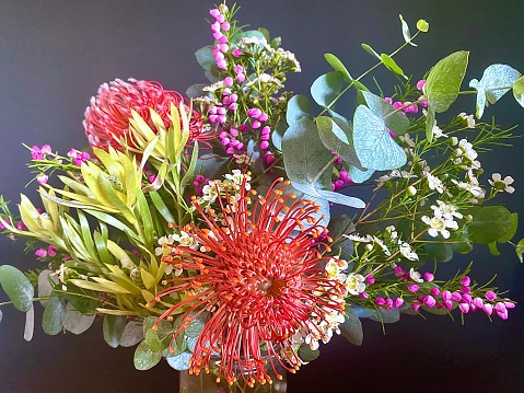 Horizontal close up of Australian native flower bouquet of Waratah, Eucalyptus, and bush wild flowers against black background