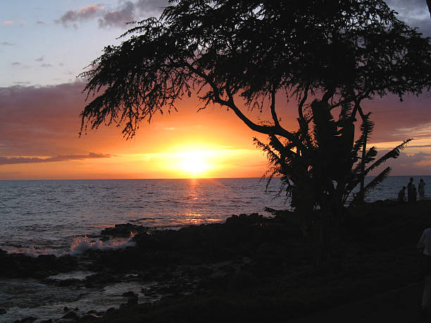 Hawaiian Sunset stock photo