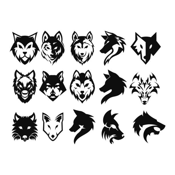 ilustrações de stock, clip art, desenhos animados e ícones de wild wolf. - lobo