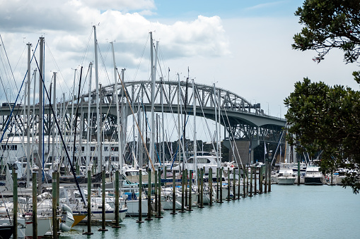 Westhaven Marina in Auckland, New Zealand