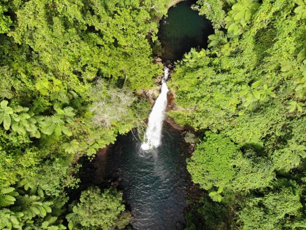 Bouma Falls, Taveuni Aerial view of Bouma taveuni stock pictures, royalty-free photos & images