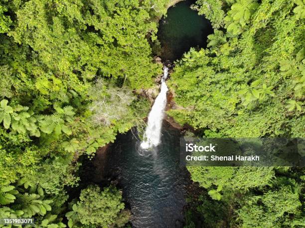 Bouma Falls Taveuni Stock Photo - Download Image Now - Taveuni, Bouma National Heritage Park, Above