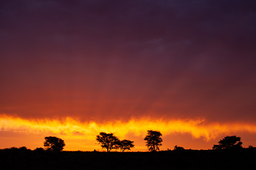 Kalahari Sunset in the Kgalagadi Transfrontier Park, South Africa