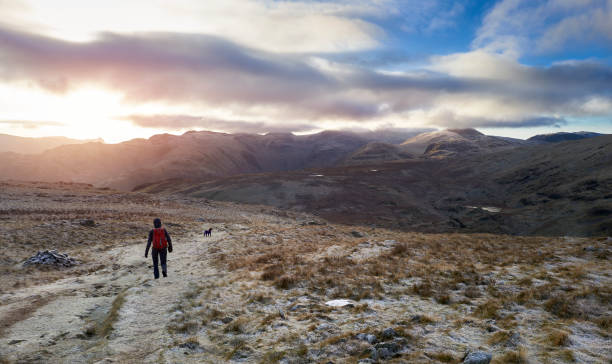 istock A hiker an their dog descending High Spy 1351984507