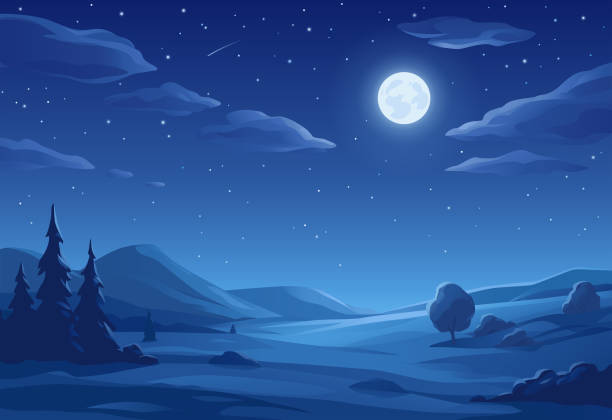 Full Moon Landscape Vector illustration of a beautiful rural landscape with trees, bushes, hills and meadows at night under a bright full moon. night stock illustrations