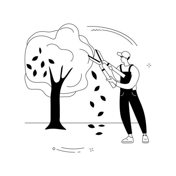 schneiden von bäumen und sträuchern abstrakte konzept vektorillustration. - lopper stock-grafiken, -clipart, -cartoons und -symbole
