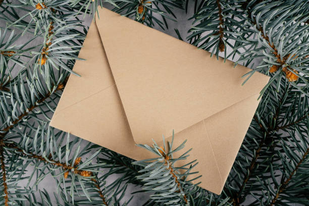 istock Background creative image with close up texture of fir branches with beige kraft paper envelope. Top view. Copy space 1351990629