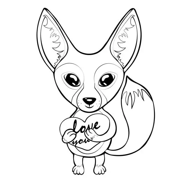 Vector illustration of Fox Fenech funny cute cartoon black and white line hand drawing, animal character, coloring, mascot. Baby fox with big eyes, fluffy tail holding a heart in its paws, isolated. Vector illustration