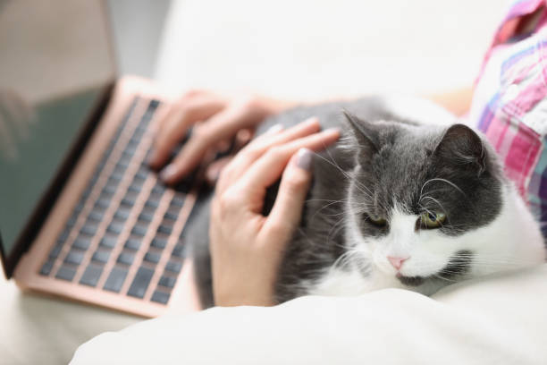 istock Woman with cat at home 1351991956