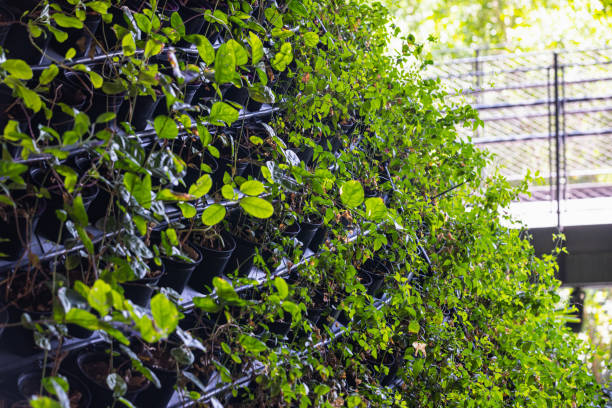 istock Light green leaf plants grown in pots in vertical garden 1351994355