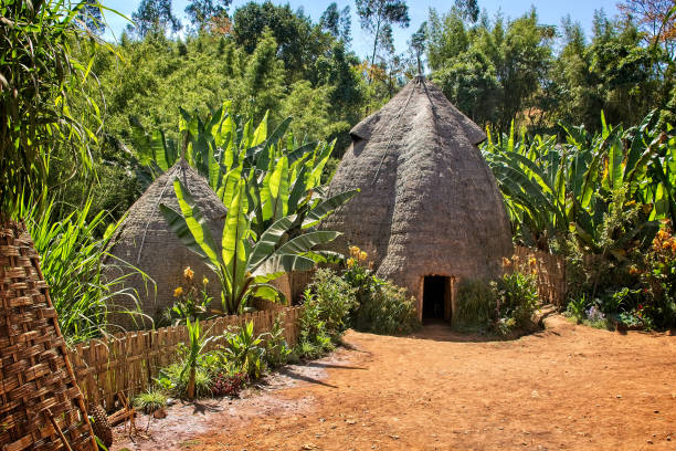 istock Dorze People hut, South Ethiopia 1351995508