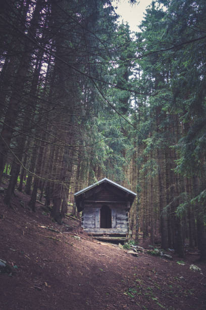 istock Small wooden cabin in a dark fir forest 1351996642