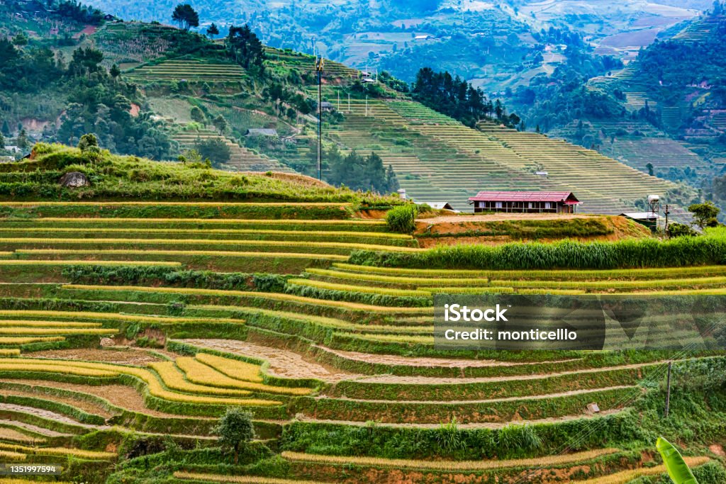 Maisemanäkymä riisipelloille Mu Cang Chain alueella, VIetnam - Rojaltivapaa avainsanalla Aasia ja tyyppiä Kuvapankin valokuva Maisemanäkymä riisipelloille Mu Cang Chain alueella, VIetnam - Rojaltivapaa avainsanalla Aasia ja tyyppiä Kuvapankin valokuva