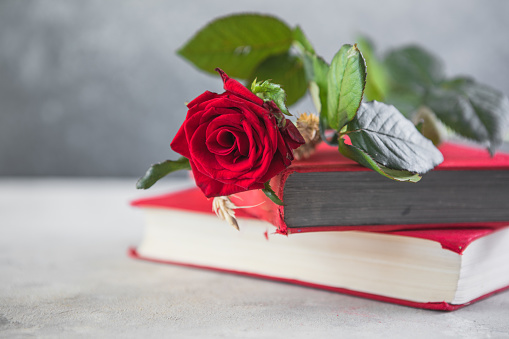 Sant Jordi, the Catalan name for Saint George Day, when it is tradition to give red roses and books in Catalonia, Spain