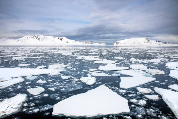 北極海に浮かぶ氷は、雪が地平線上のスバールバル諸島の山々に覆われています。 - ice floe ストックフォトと画像