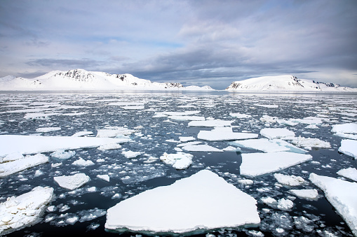 Floating ice in the Arctic sea, with the snow covered mountains of Svalbard on the horizon.