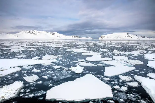 Floating ice in the Arctic sea, with the snow covered mountains of Svalbard on the horizon, a Norwegian archipelago between mainland Norway and the North Pole