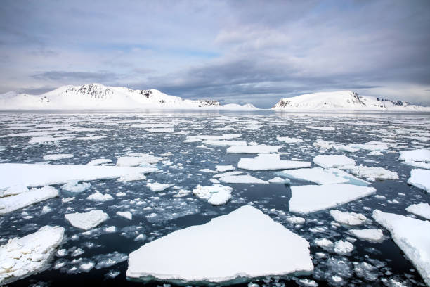 gelo flutuante no mar ártico, com as montanhas cobertas de neve de svalbard no horizonte. - placa de gelo - fotografias e filmes do acervo