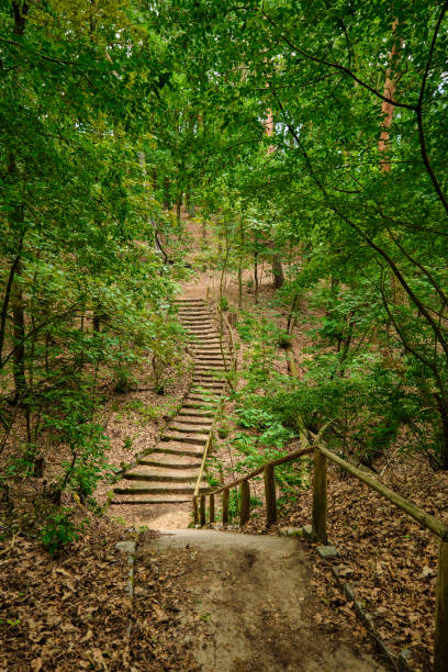 Stairs with railings at the "Havelhoehenweg" hiking trail in the "Grunewald" forest, one of the "20 Green Walks" in Berlin stock photo