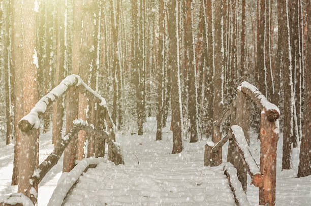 istock Wooden little bridge in a Coniferous forest covered with snow 1352003032