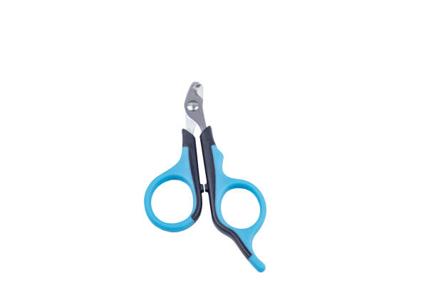 istock Pet claw clipper isolated on white background 1352003770