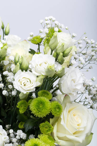 istock Close up of white roses 1352004226