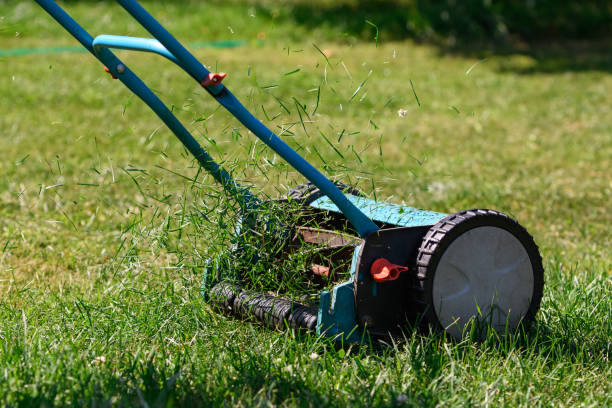 istock lawn mowing with a manual drum lawn mower 1352007759