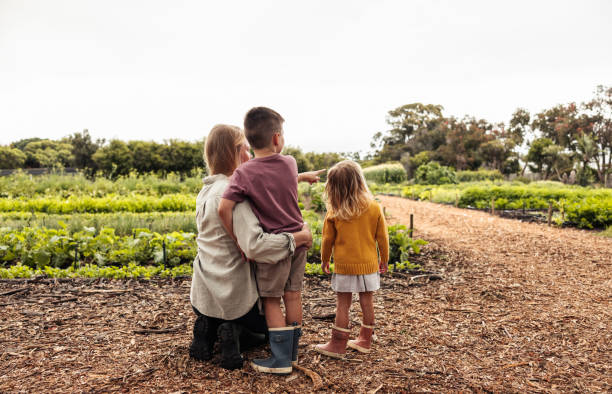 istock We're going to harvest over there soon 1352010842