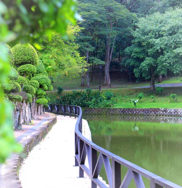 istock A beautiful walkway beside the lake 1352014295