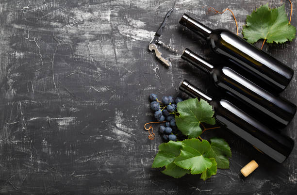 istock Wine bottles grapes, grape bunches with leaves and vines corkscrew wine corks on dark rustic concrete background. Wine composition on black stone table.Flat lay with copy space. 1352014560