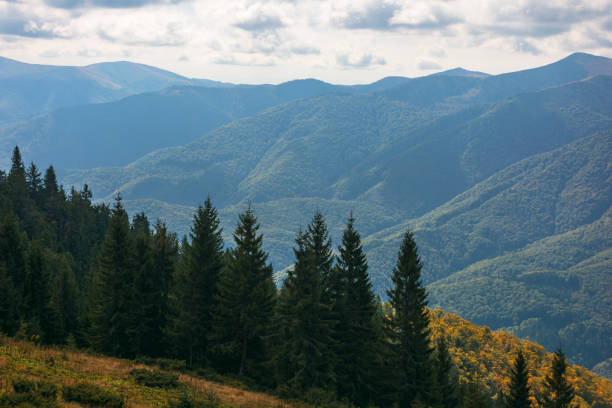 istock carpathian forested mountains in autumn 1352014915