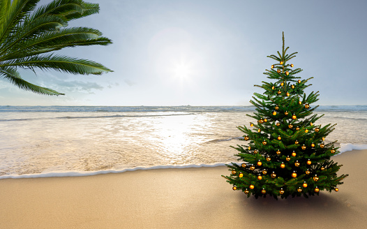 The word holiday written in the sand on a South Sea beach with Christmas tree