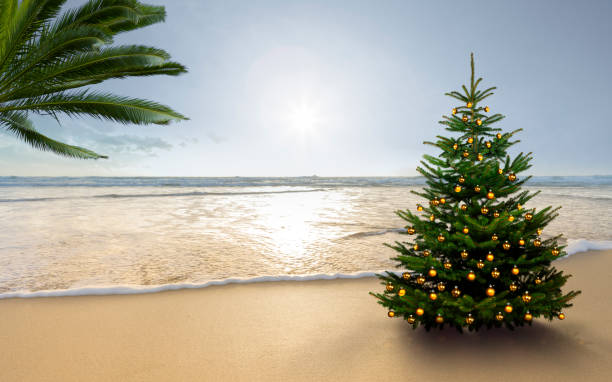 the word holiday written in the sand on a south sea beach with christmas tree - christmas beach sun tropical climate imagens e fotografias de stock