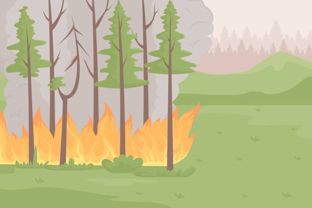 ilustraciones, imágenes clip art, dibujos animados e iconos de stock de ilustración vectorial en color plano del bosque en llamas - wildfire smoke