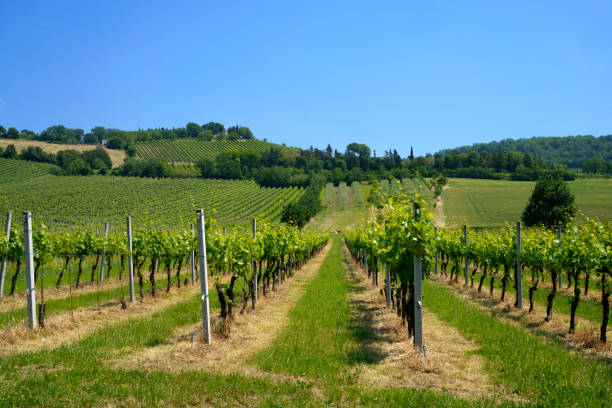 istock Country landscape near Meldola and Bertinoro, Emilia-Romagna 1352017430