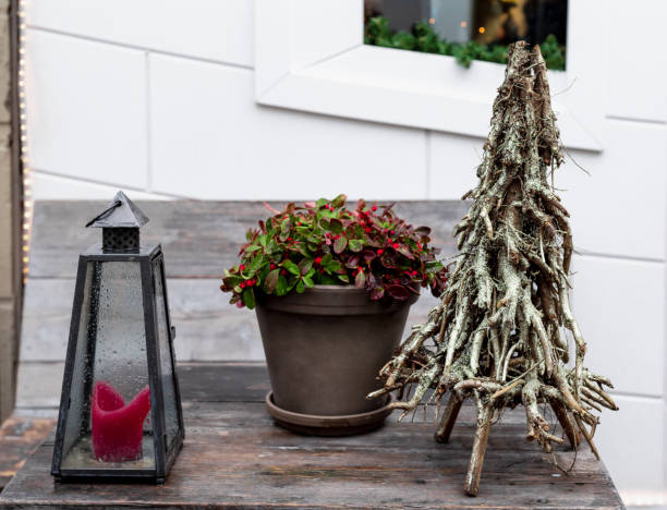 istock Christmas red berries plant in pot, creative alternative Christmas tree made from tree branches and street candle lamp on wooden table outsiade. Retro holiday decor in European flower shop 1352018904