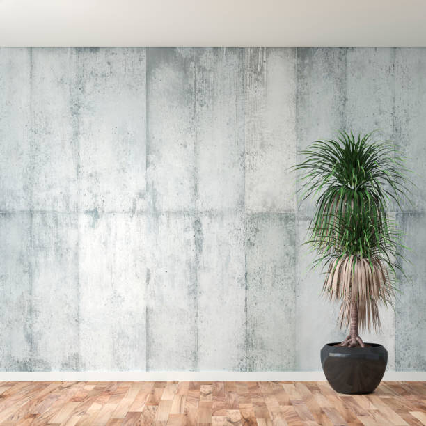 istock Empty unfurnished interior with concrete wall background and potted plant 1352019480