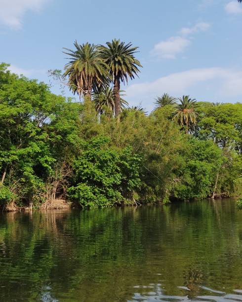 istock Island in the lake 1352019665