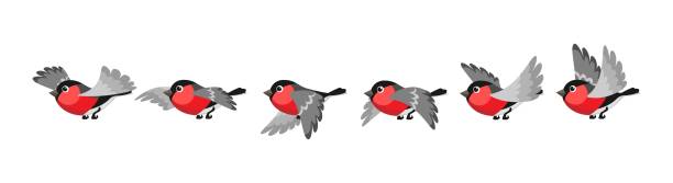 vogelbewegungsanimation - rotkehlchen stock-grafiken, -clipart, -cartoons und -symbole