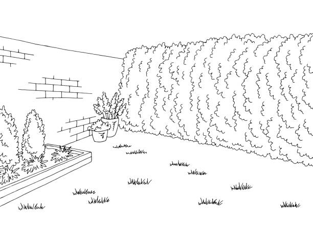 backyard garden graphic black white sketch illustration vector - backyard stock illustrations