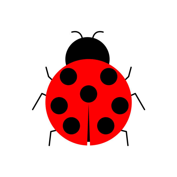 Flat and simple ladybugs illustration Flat and simple ladybugs illustration material seven spot ladybird stock illustrations