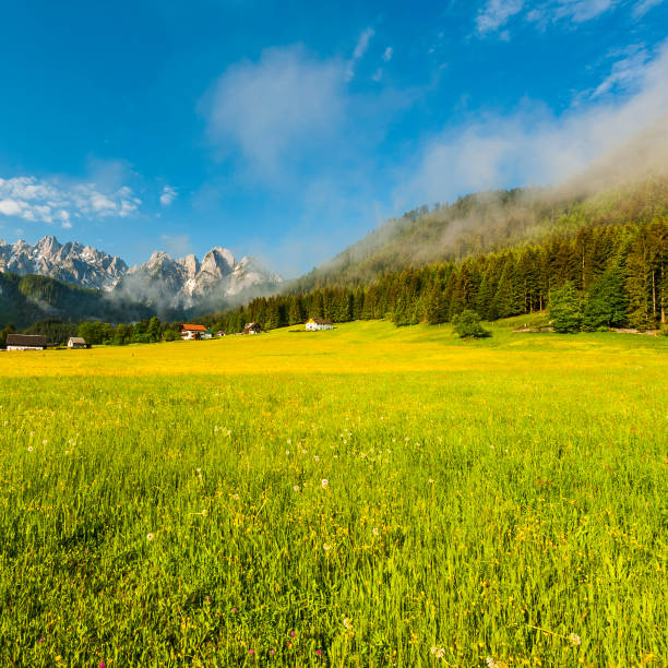 istock Alps in early morning 1352023665