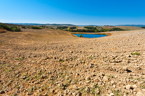 Pond for irrigation between stubble fields in Italy. Plowed hills of Tuscany in the autumn. Plowed agricultural land in Italy.