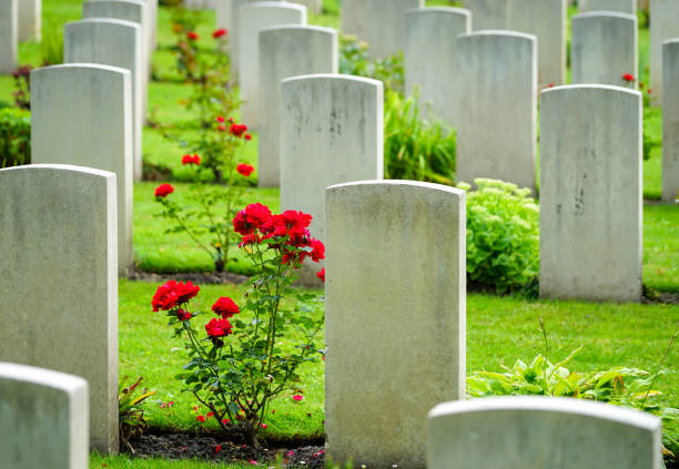istock View Of Flowering Plants At Cemetery 1352027929