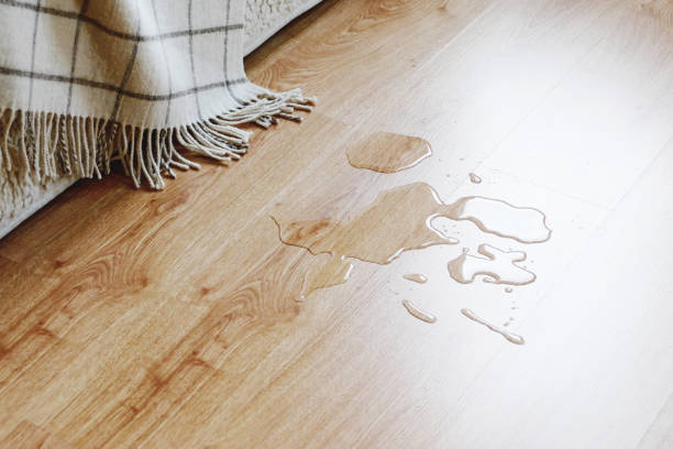 istock Water on the laminated floor in the living room 1352034501